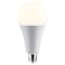Satco 30Watt LED Lamp, A25, 3000K, Medium Base, Non Dimmable, 120 Volts S11465 - alternate 2